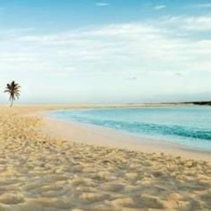 Meet your Posher, Darla